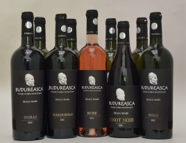 Budureasca